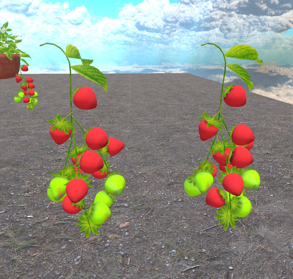 初めての畑づくり(49点)