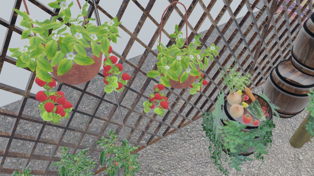 初めての畑づくり(49点)