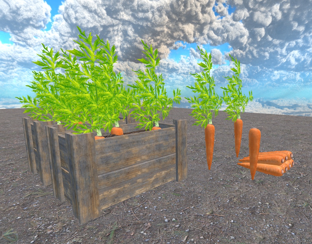 初めての畑づくり(49点)