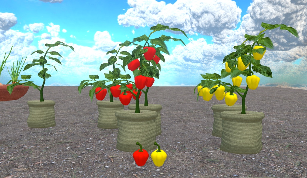 初めての畑づくり(49点)