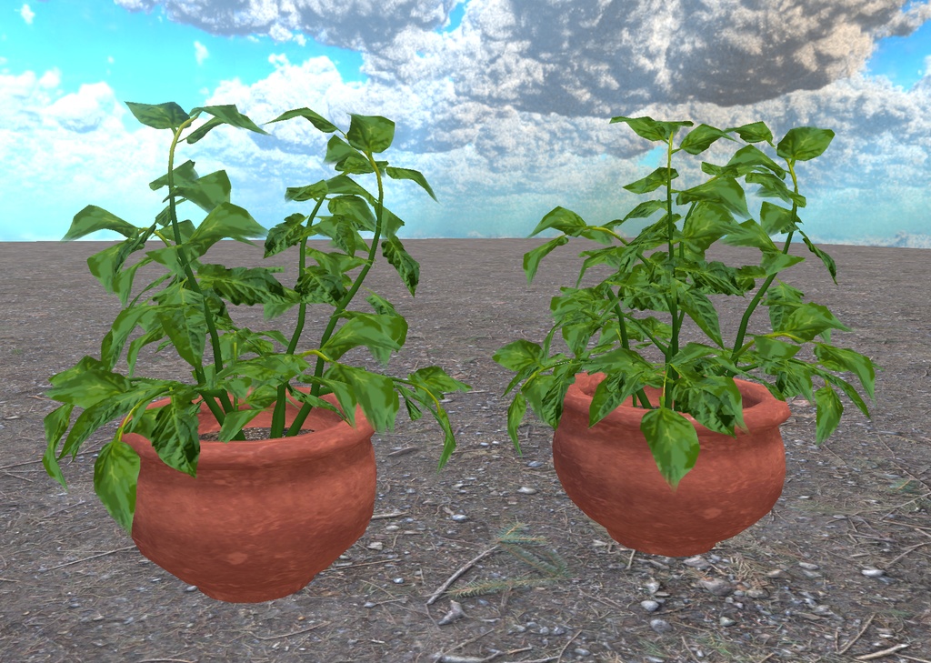 初めての畑づくり(49点)