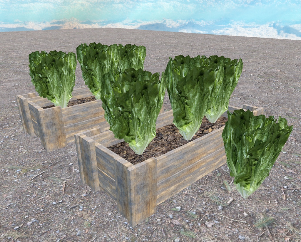 初めての畑づくり(49点)