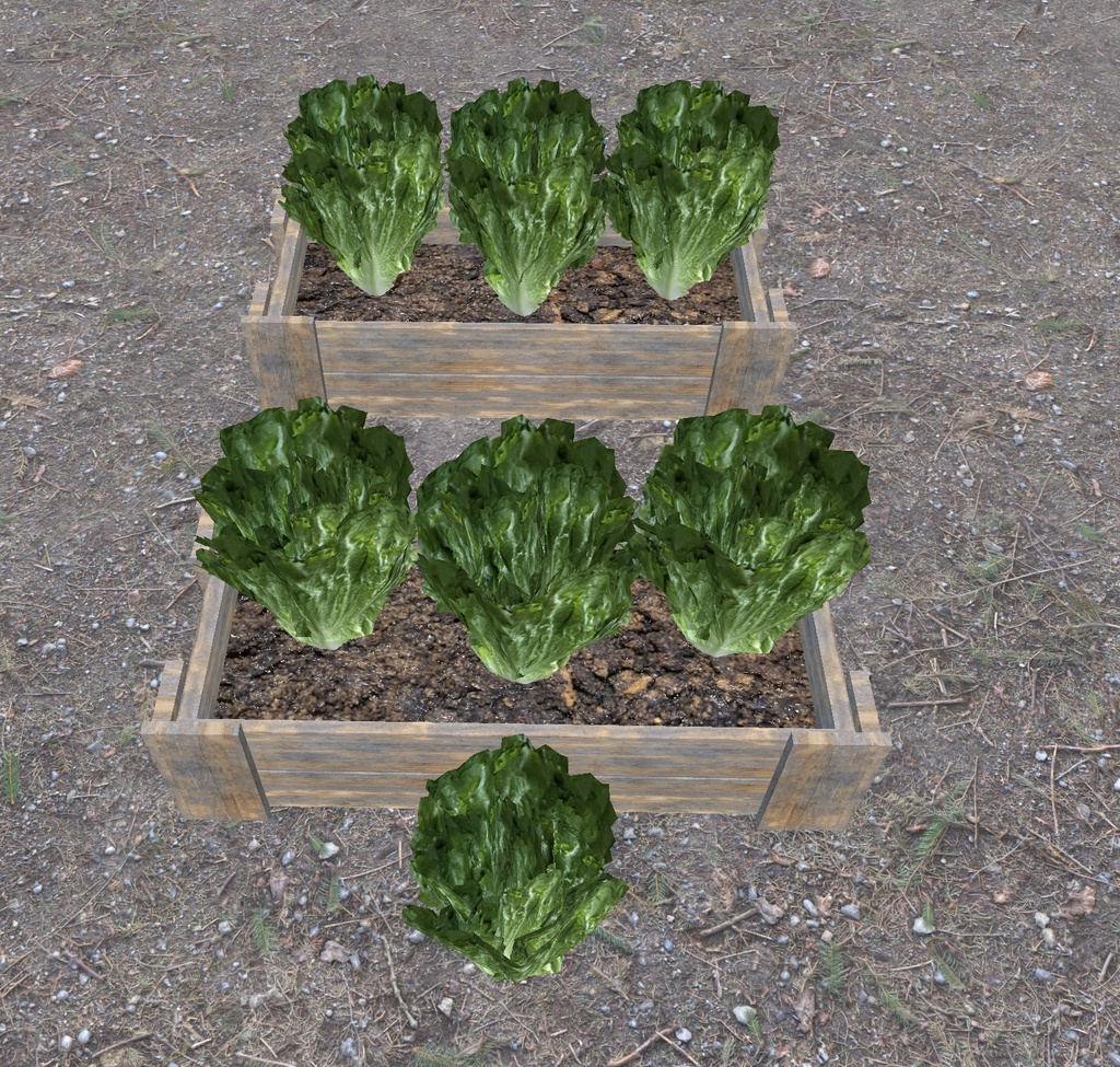 初めての畑づくり(49点)