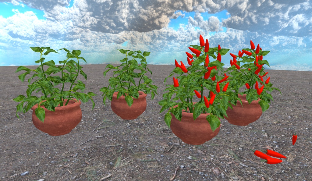 初めての畑づくり(49点)