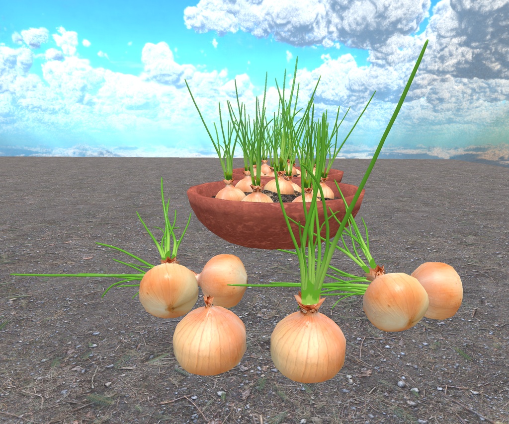 初めての畑づくり(49点)