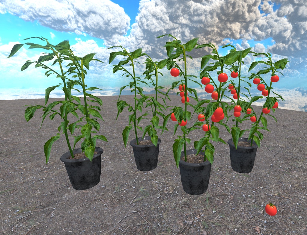 初めての畑づくり(49点)