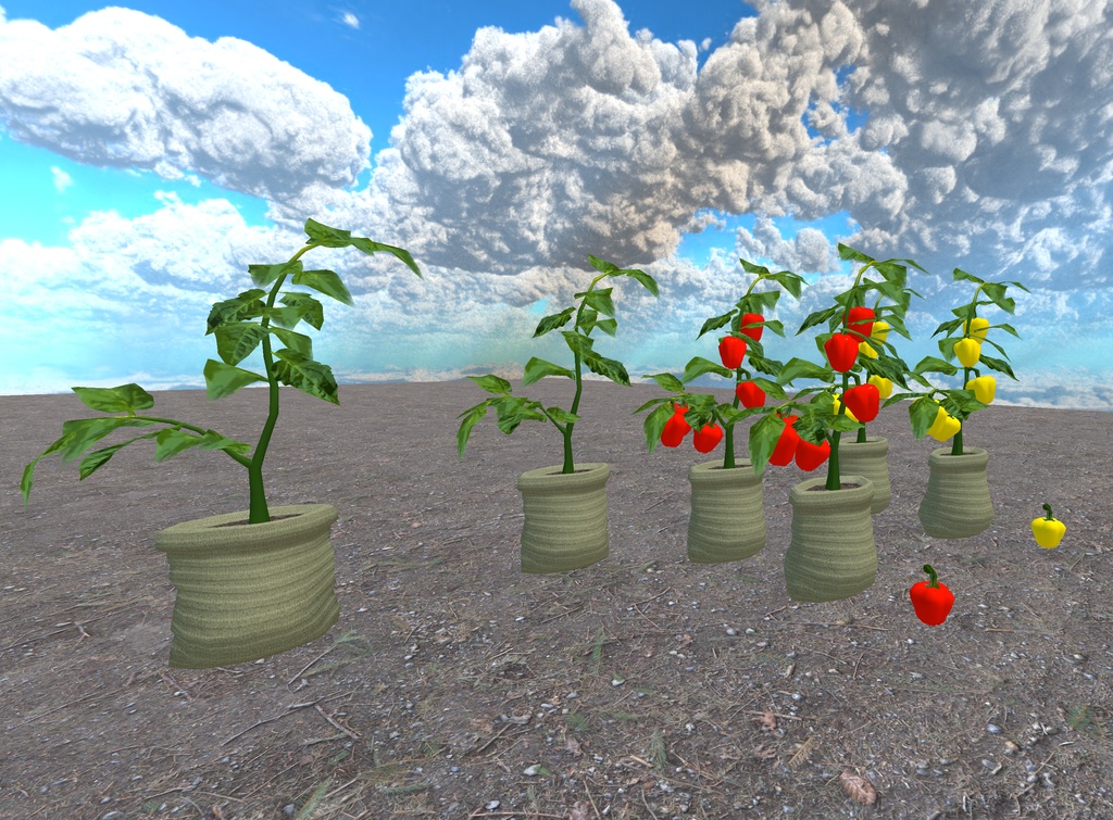 初めての畑づくり(49点)