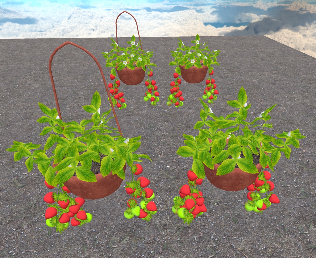 初めての畑づくり(49点)