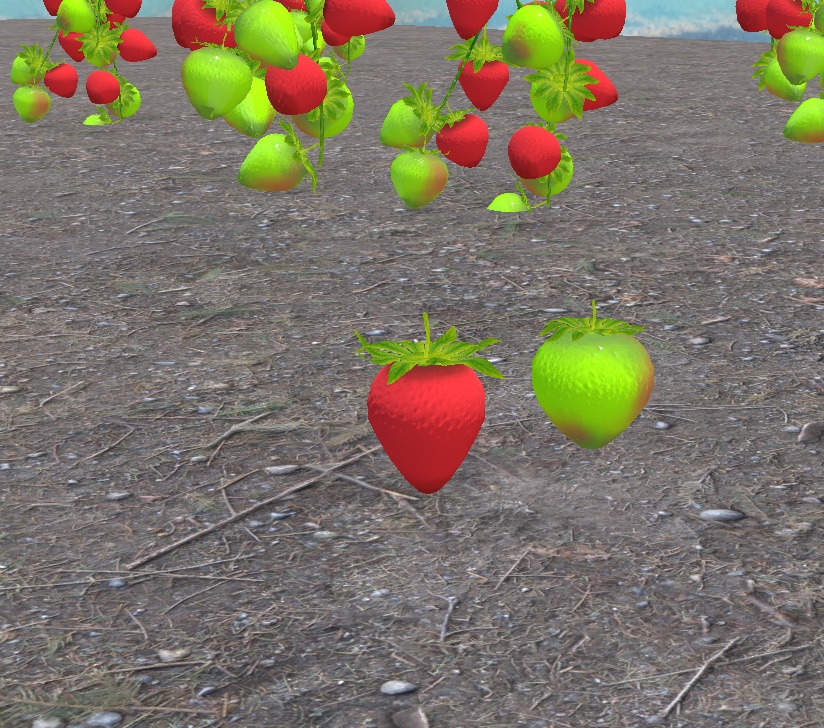 初めての畑づくり(49点)