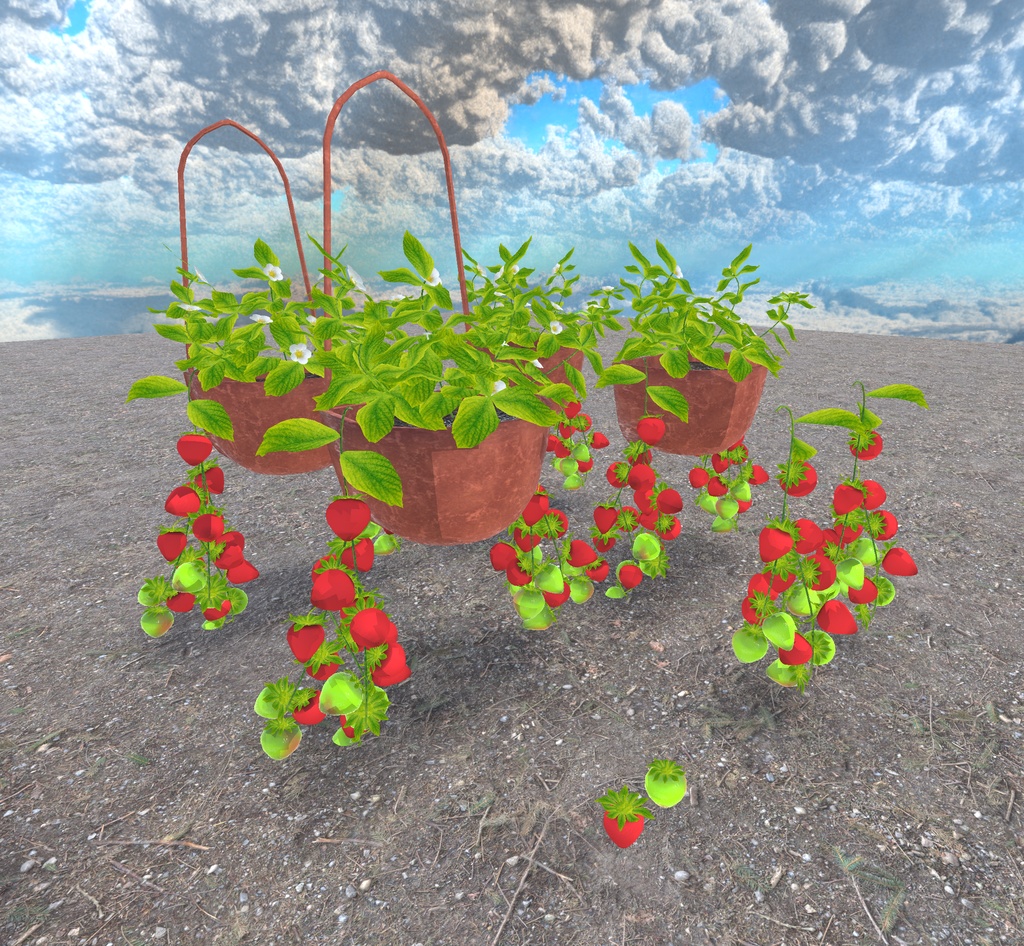 初めての畑づくり(49点)