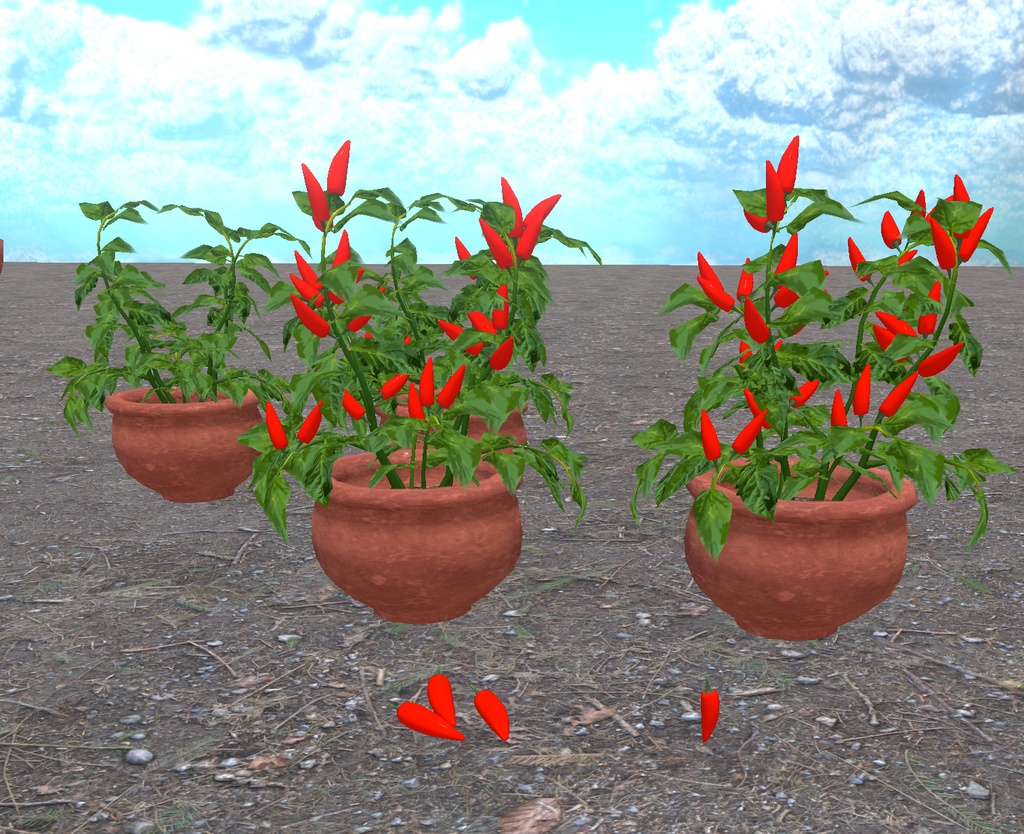 初めての畑づくり(49点)