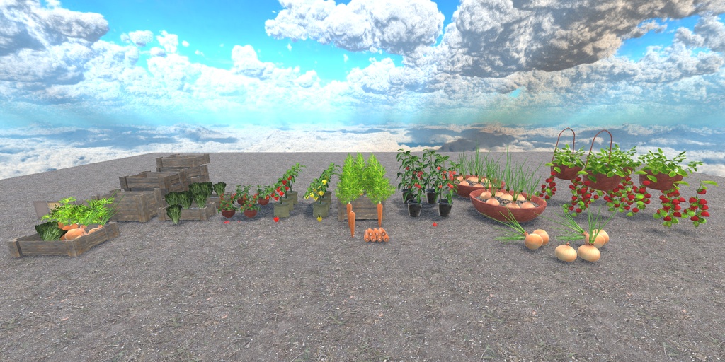 初めての畑づくり(49点)