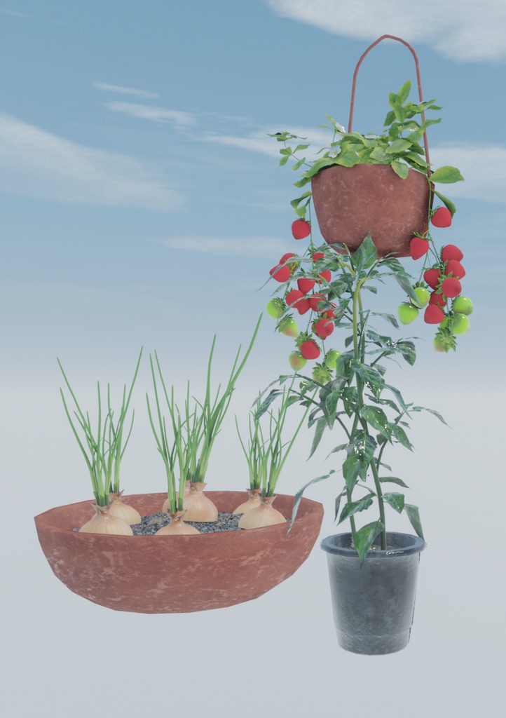 初めての畑づくり(49点)