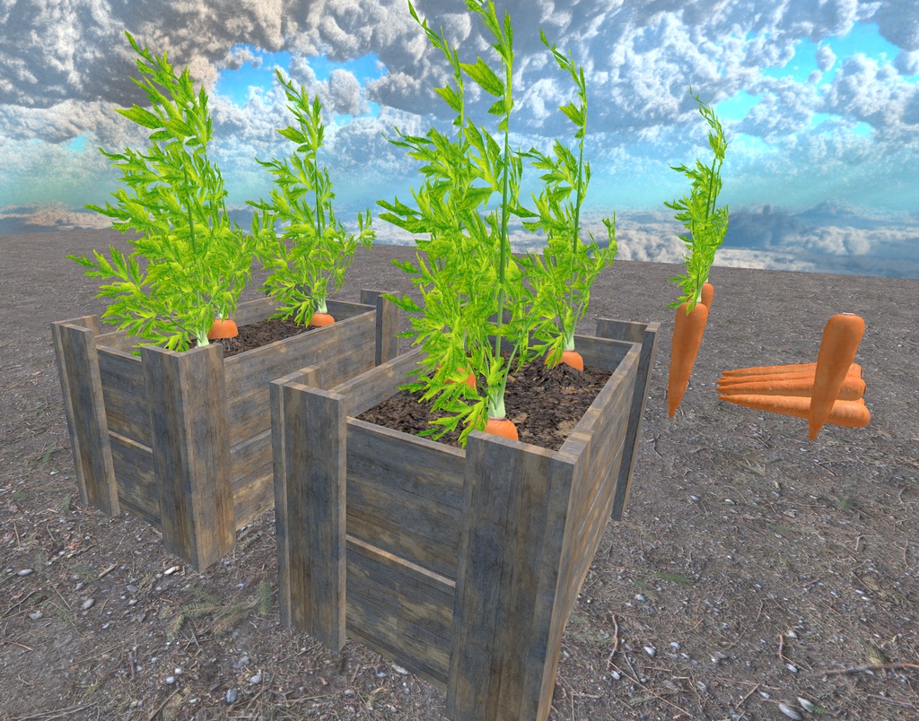 初めての畑づくり(49点)