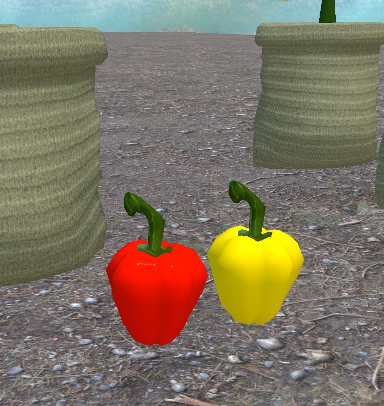 初めての畑づくり(49点)