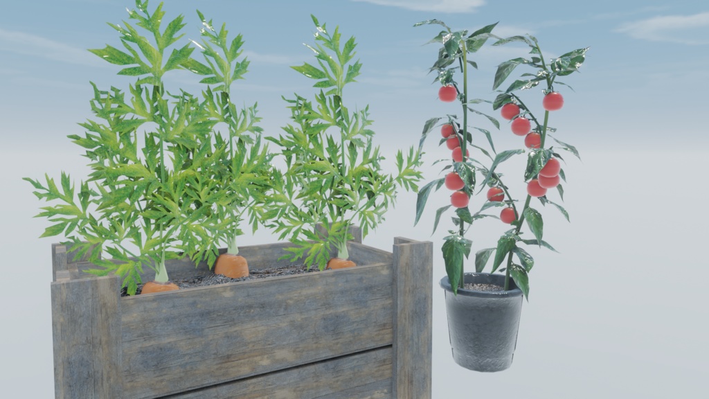 初めての畑づくり(49点)