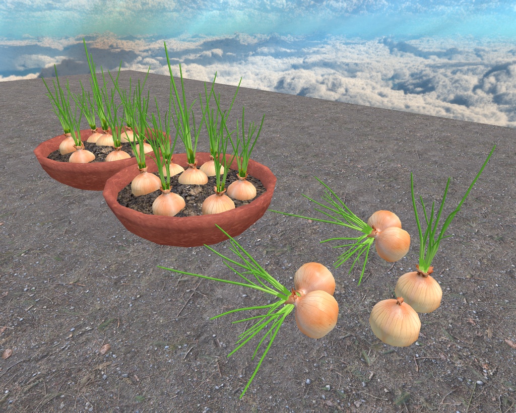 初めての畑づくり(49点)