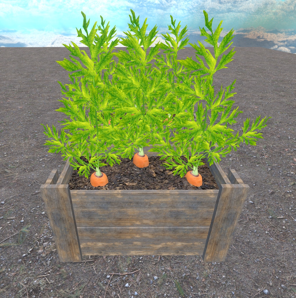 初めての畑づくり(49点)