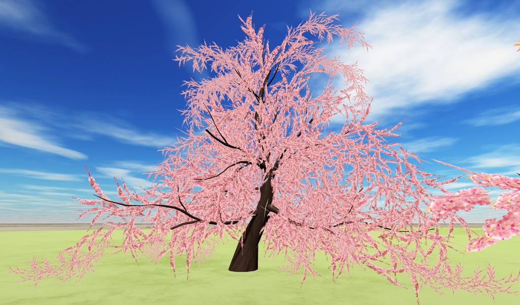 桃の節供&お花見(66点)