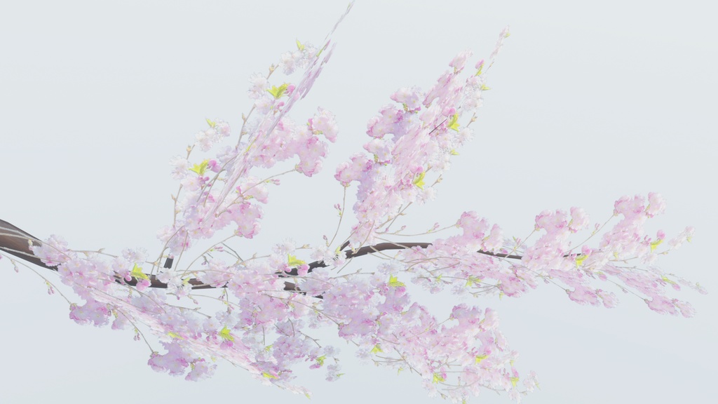 桃の節供&お花見(66点)