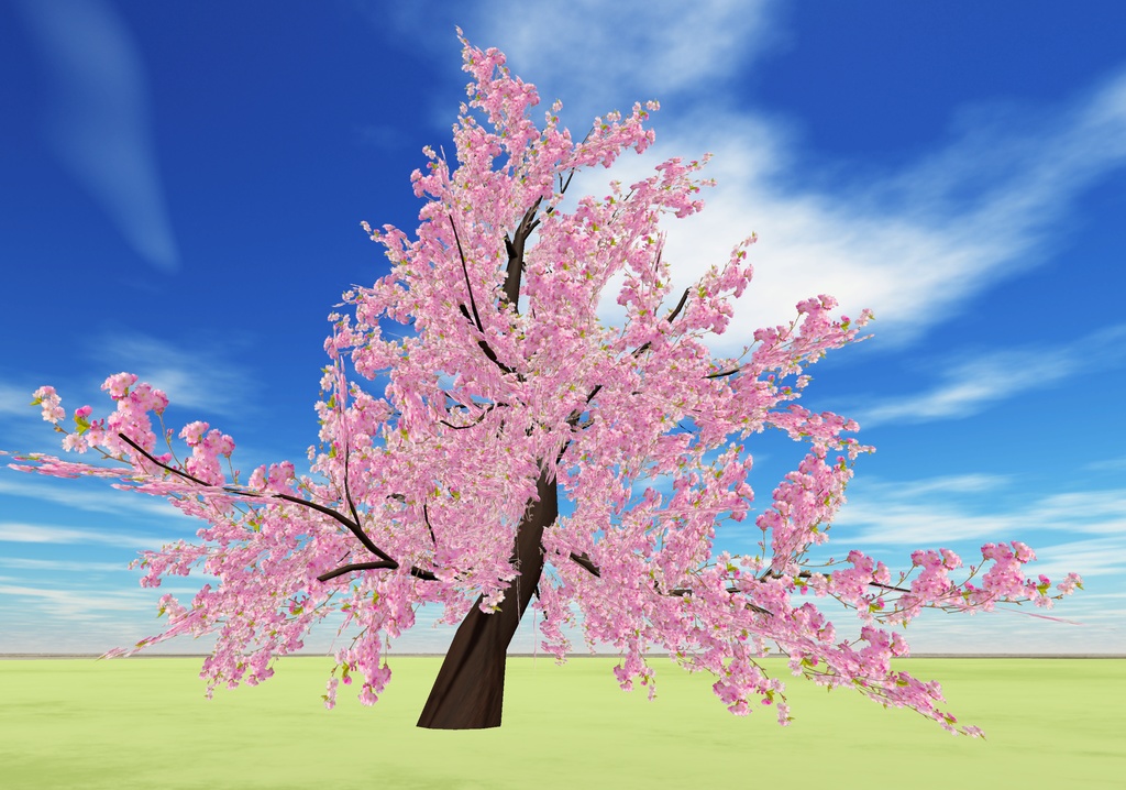 桃の節供&お花見(66点)