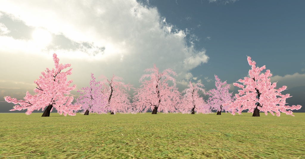 桃の節供&お花見(66点)