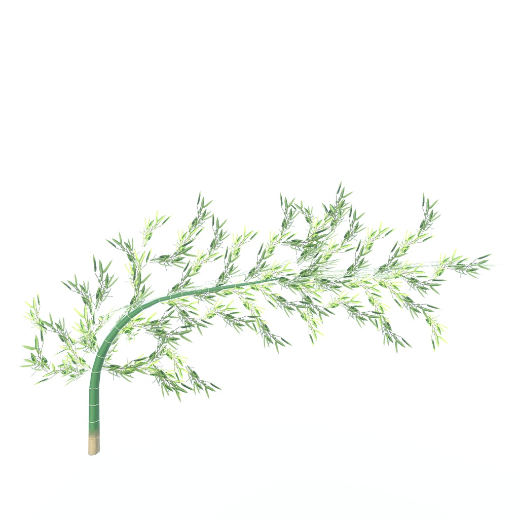 竹と七夕飾り(171点)