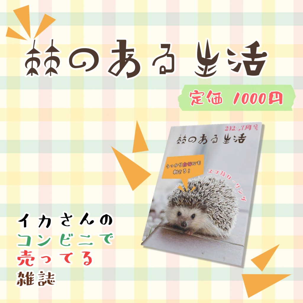 イカさんのコンビニで売ってる雑誌(28点)