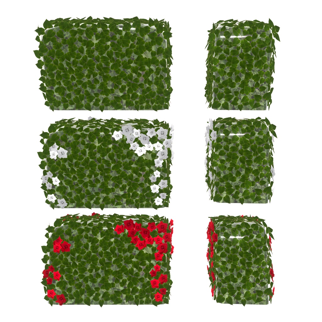 不思議の国の誰かサンごっこ(65点)