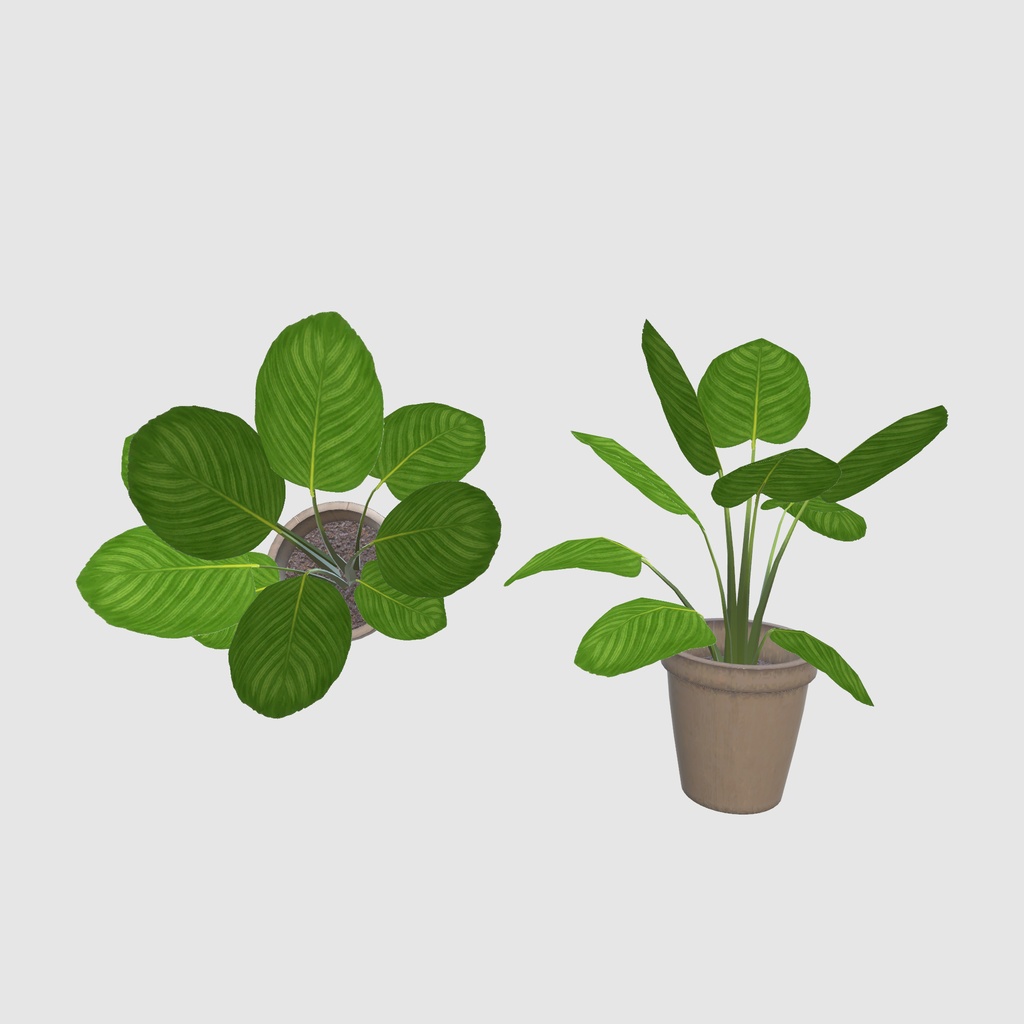 森のアトリエ部屋(37点)