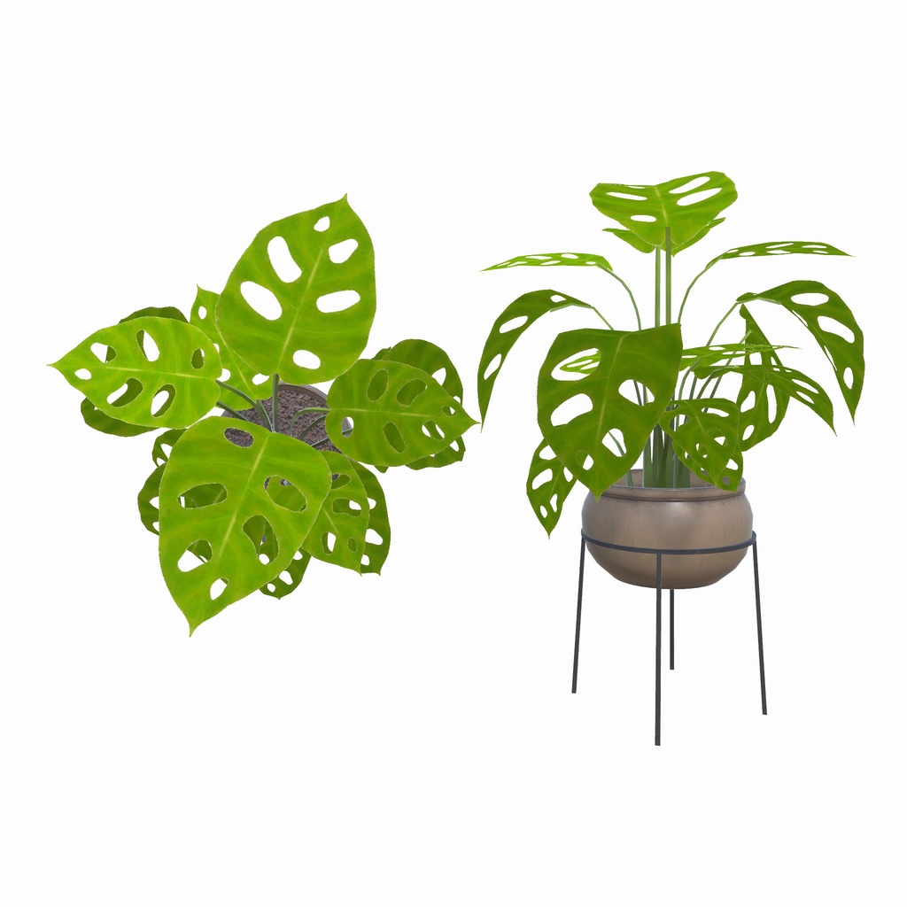 森のアトリエ部屋(37点)