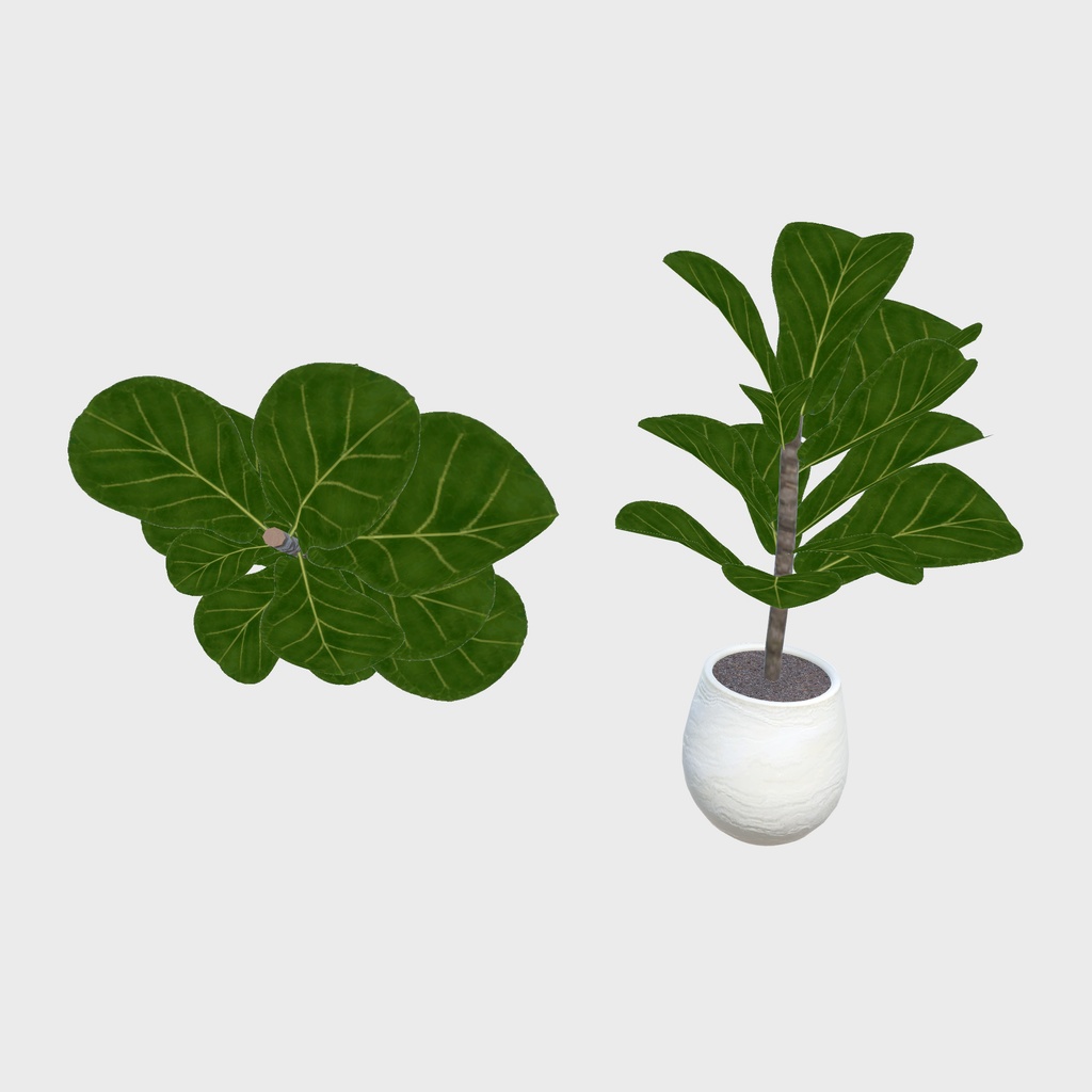 森のアトリエ部屋(37点)