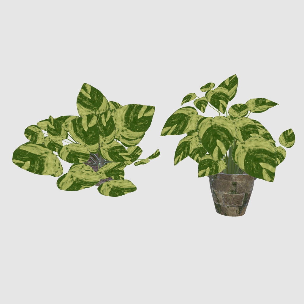 森のアトリエ部屋(37点)