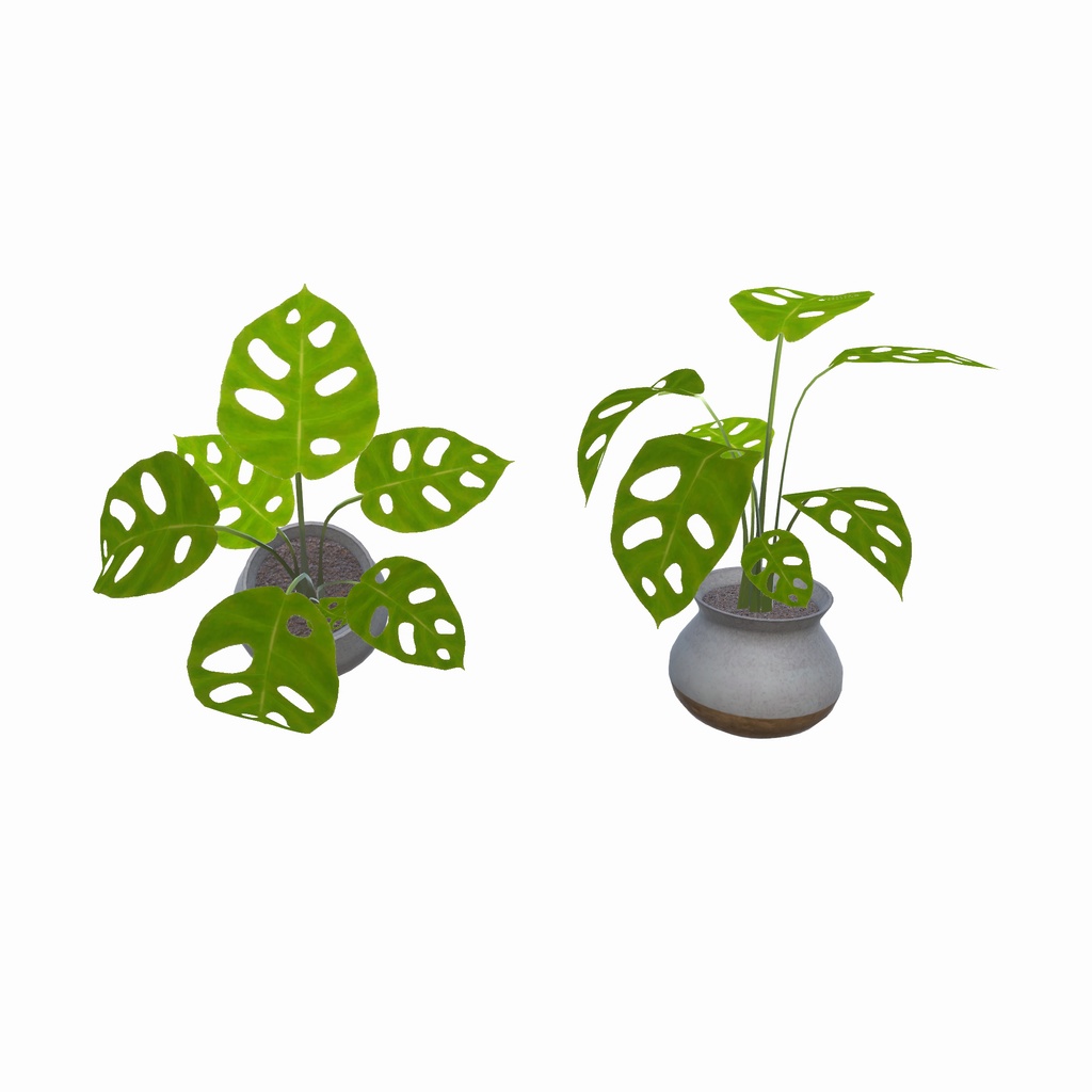 森のアトリエ部屋(37点)