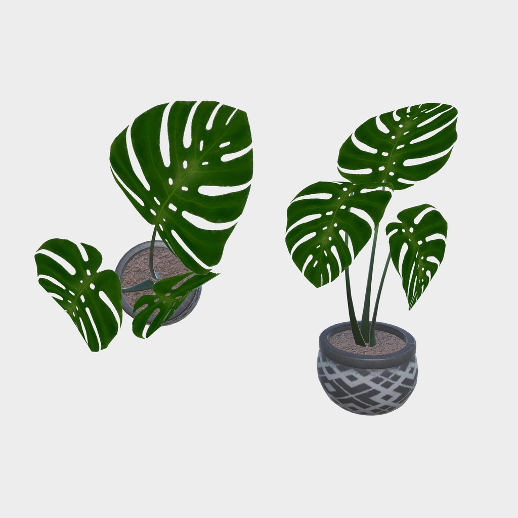 森のアトリエ部屋(37点)