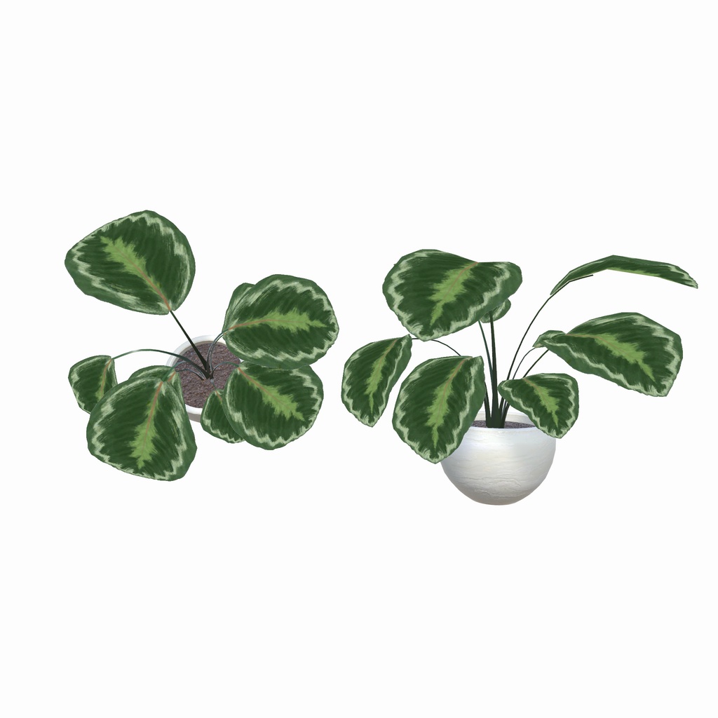 森のアトリエ部屋(37点)