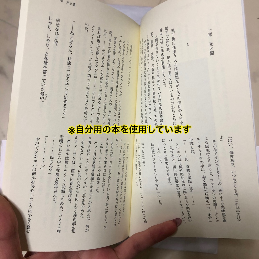 暗澹たる地の底から空の世界の夢を見た(上)