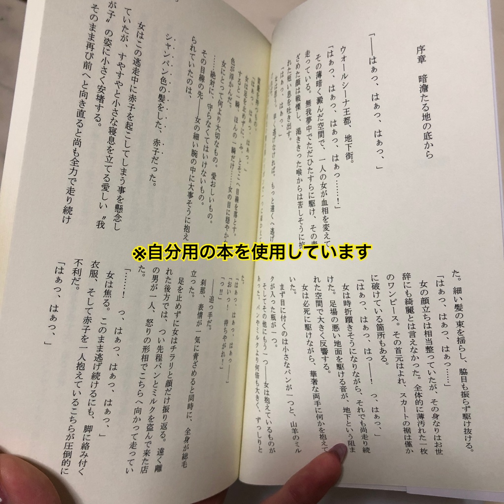 暗澹たる地の底から空の世界の夢を見た(上)