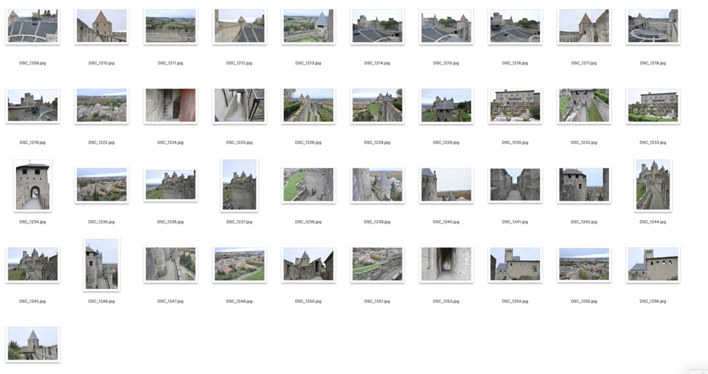 【背景資料画像】城塞都市カルカソンヌ