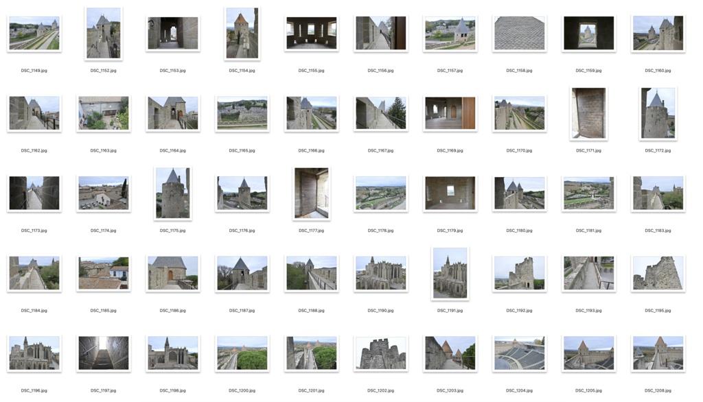 【背景資料画像】城塞都市カルカソンヌ