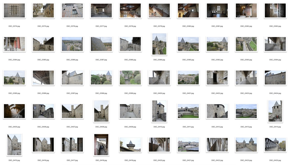 【背景資料画像】城塞都市カルカソンヌ