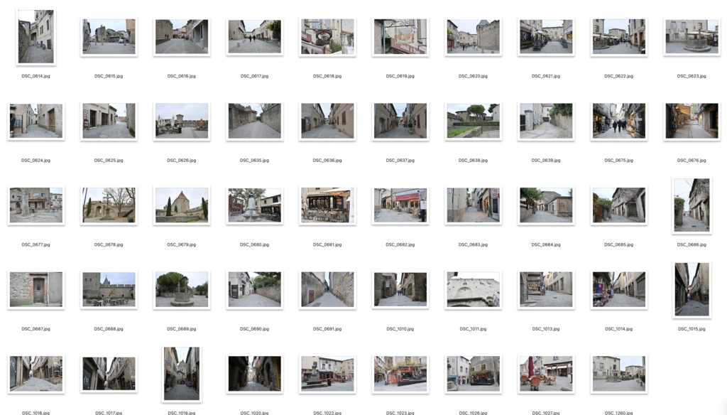 【背景資料画像】城塞都市カルカソンヌ