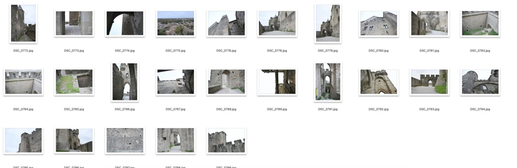 【背景資料画像】城塞都市カルカソンヌ