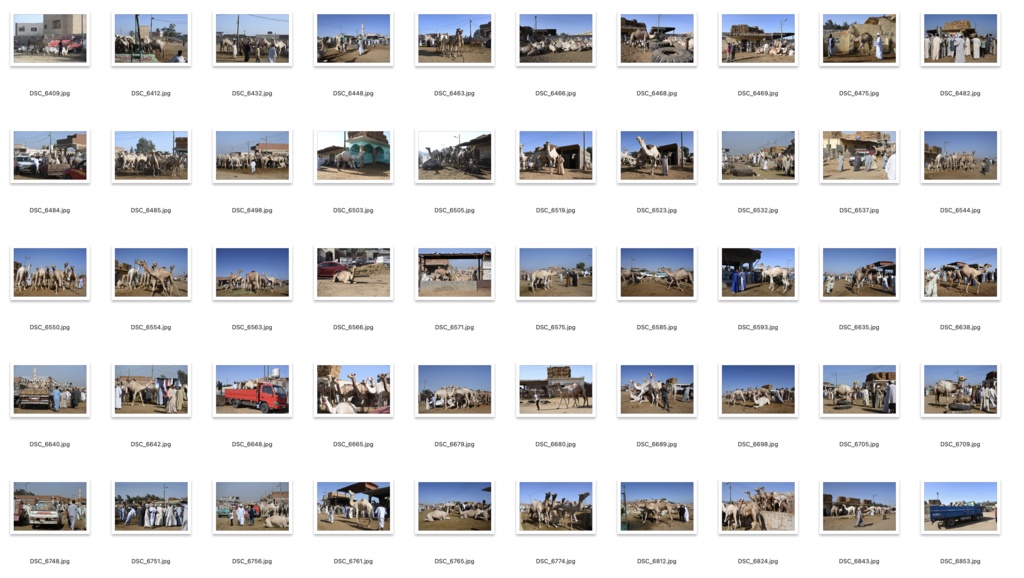 【背景資料画像】エジプトのピラミッド・砂漠・ラクダ市場