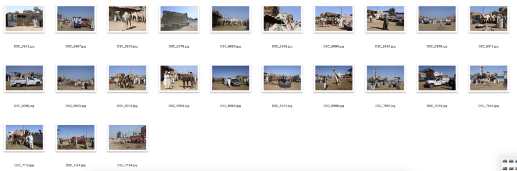 【背景資料画像】エジプトのピラミッド・砂漠・ラクダ市場