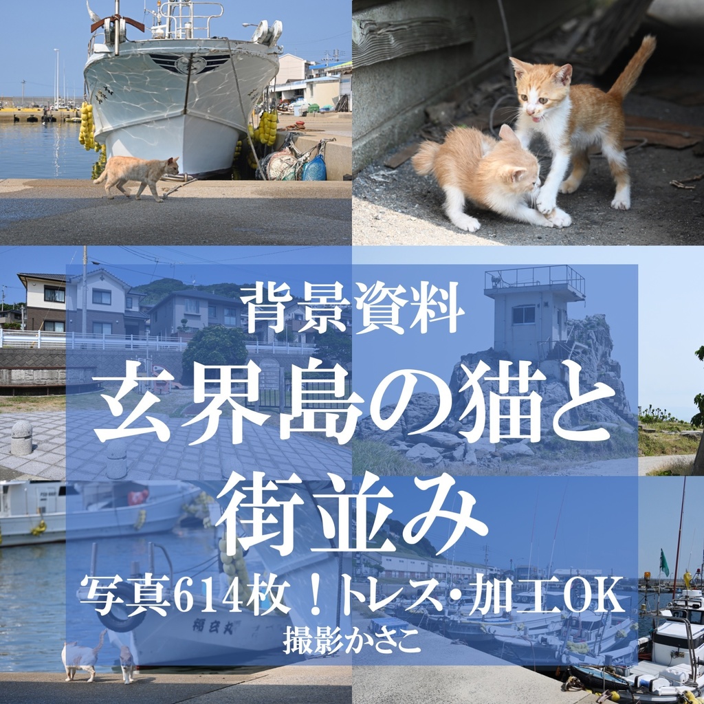 【背景資料画像】玄界島の猫と街並み