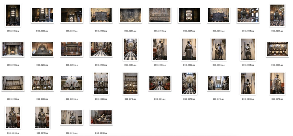 【背景資料画像】イタリア9宮殿・邸宅・劇場