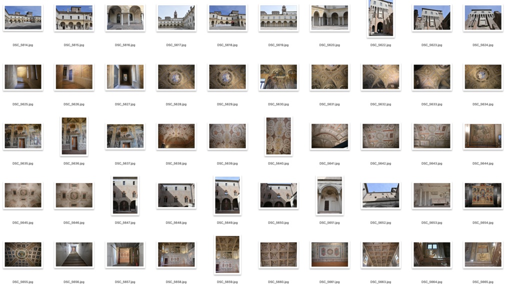 【背景資料画像】イタリア9宮殿・邸宅・劇場