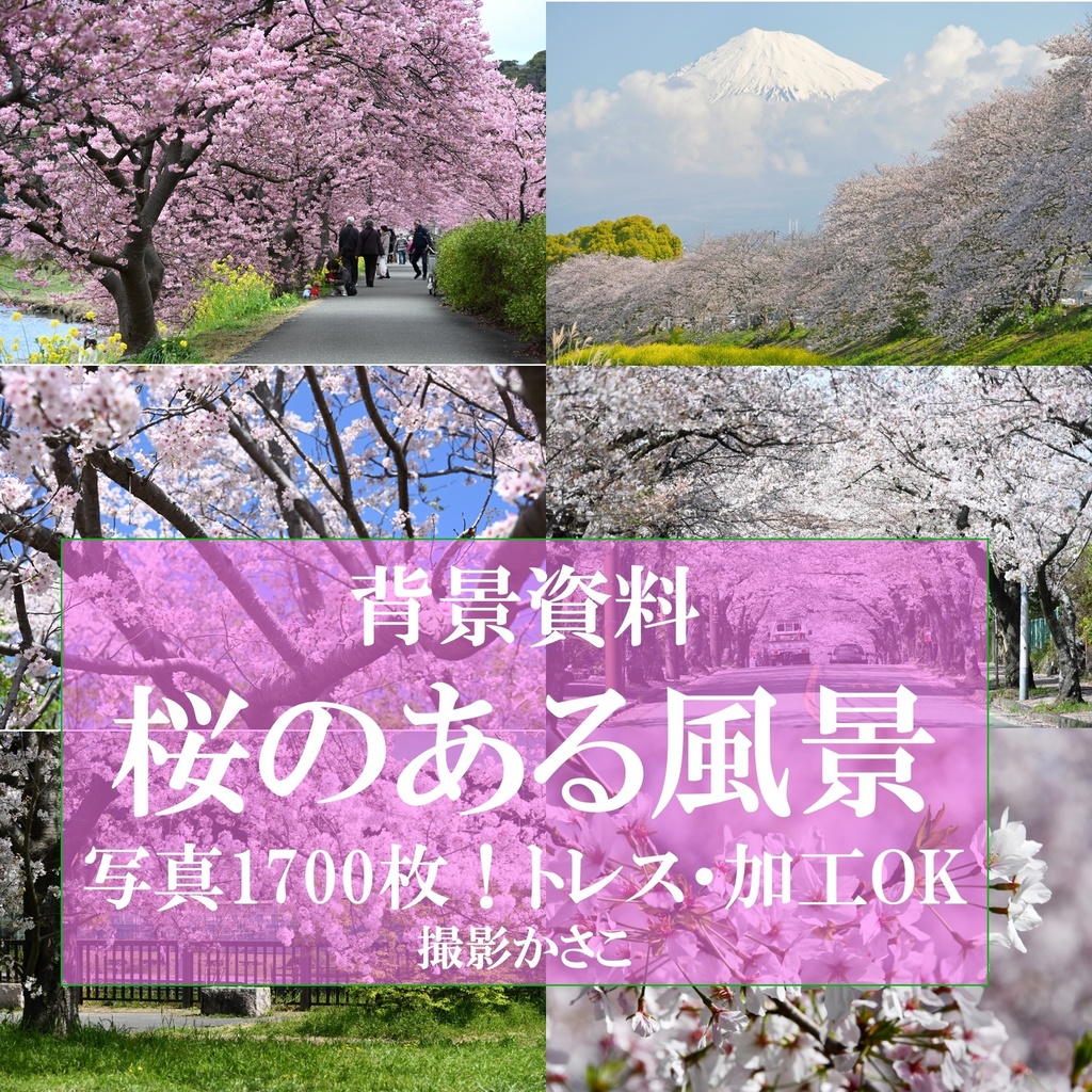 【背景資料画像】桜のある風景