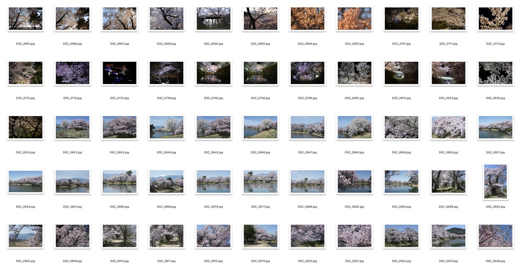 【背景資料画像】桜のある風景